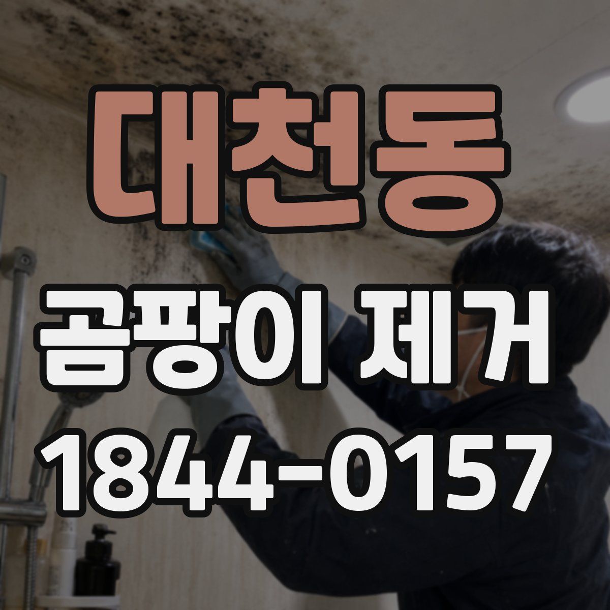 대천동 곰팡이 제거