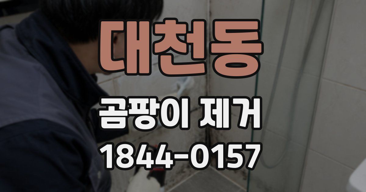 대천동 곰팡이 제거