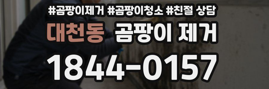 대천동 곰팡이 제거