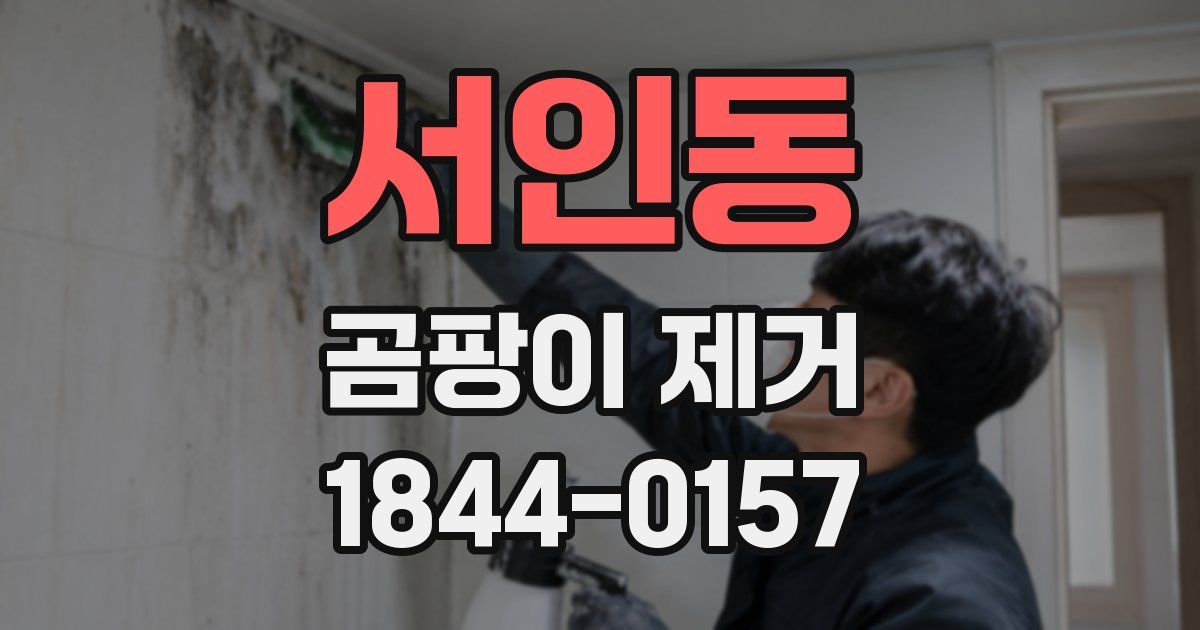 서인동 곰팡이 제거