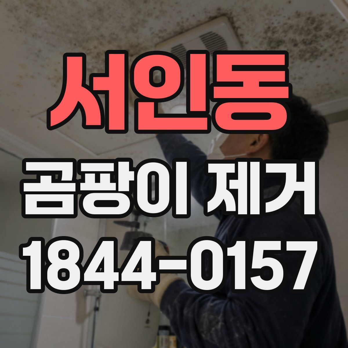 서인동 곰팡이 제거