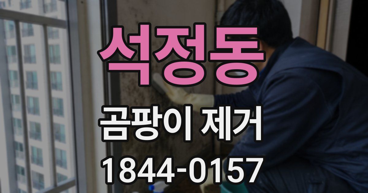 석정동 곰팡이 제거