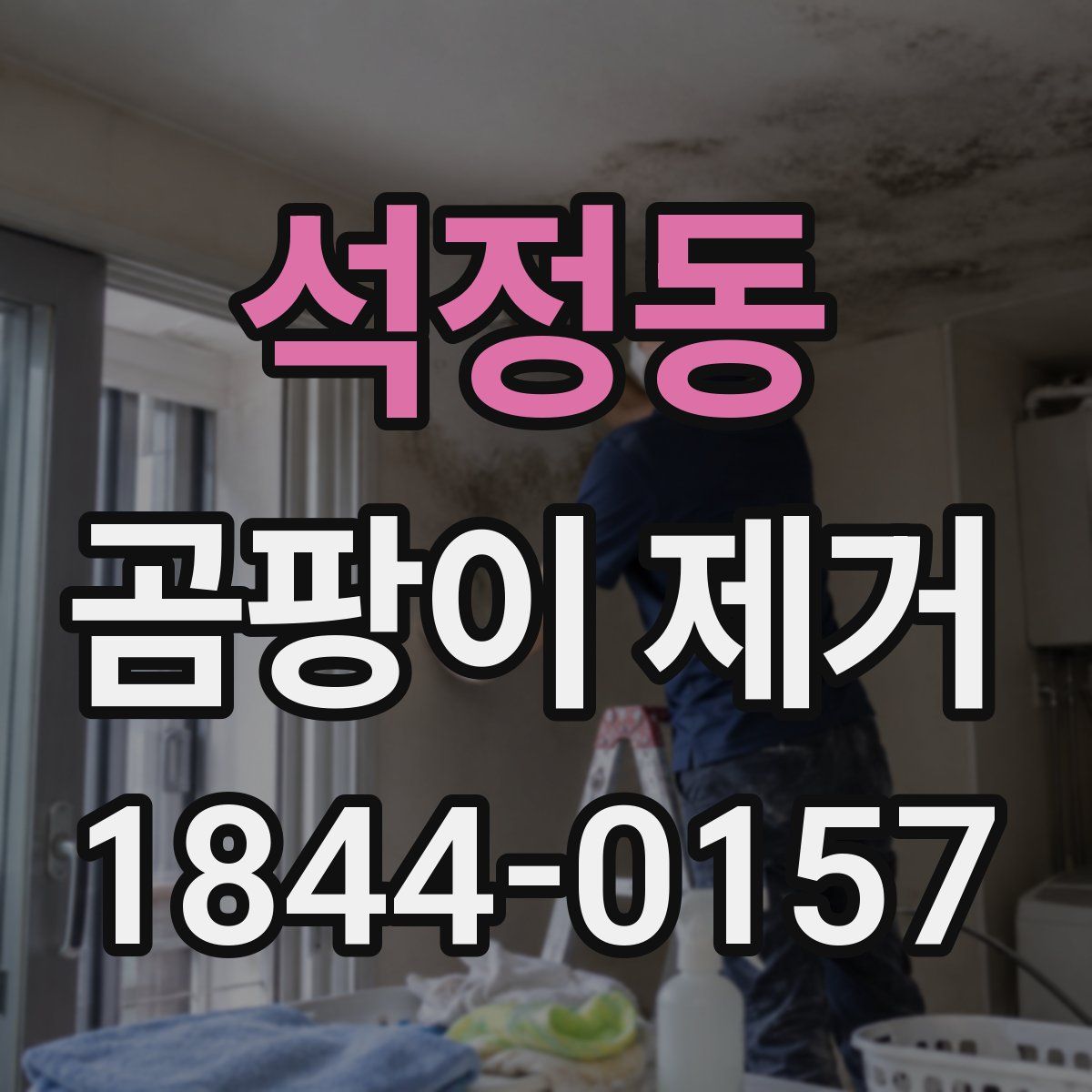 석정동 곰팡이 제거