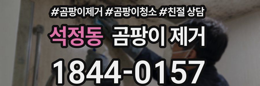 석정동 곰팡이 제거