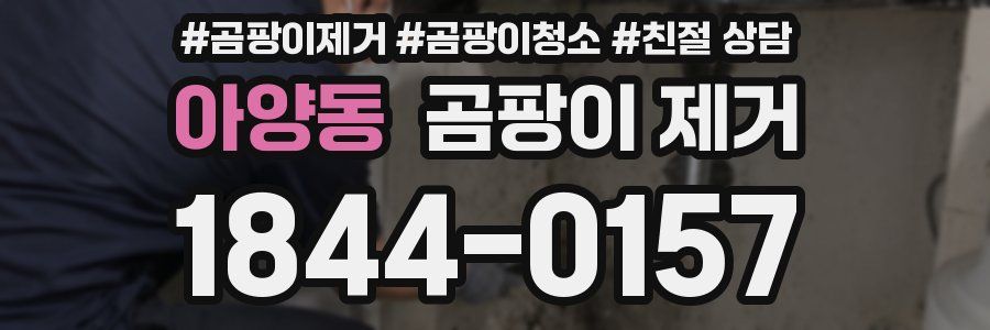 아양동 곰팡이 제거