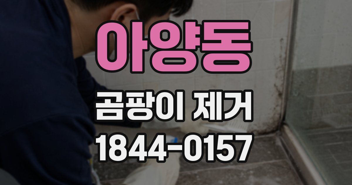 아양동 곰팡이 제거