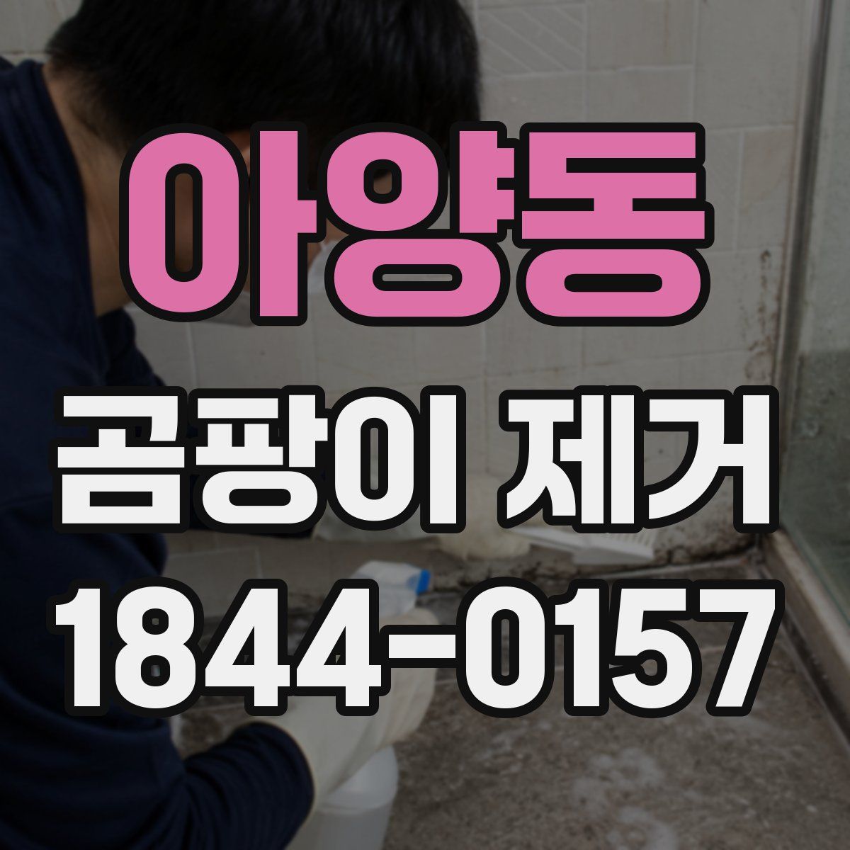 아양동 곰팡이 제거