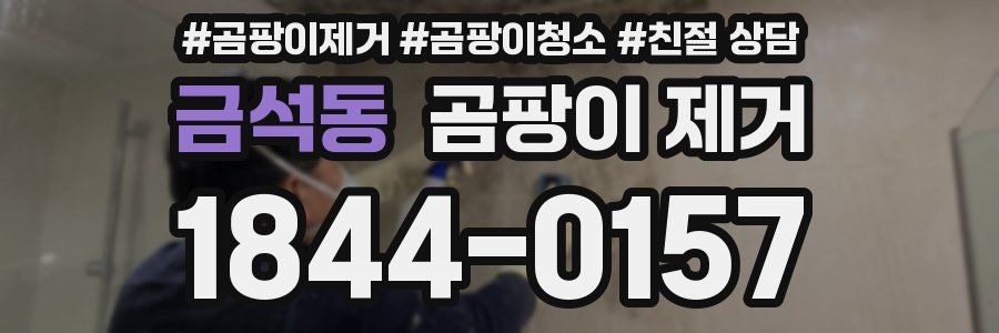 금석동 곰팡이 제거