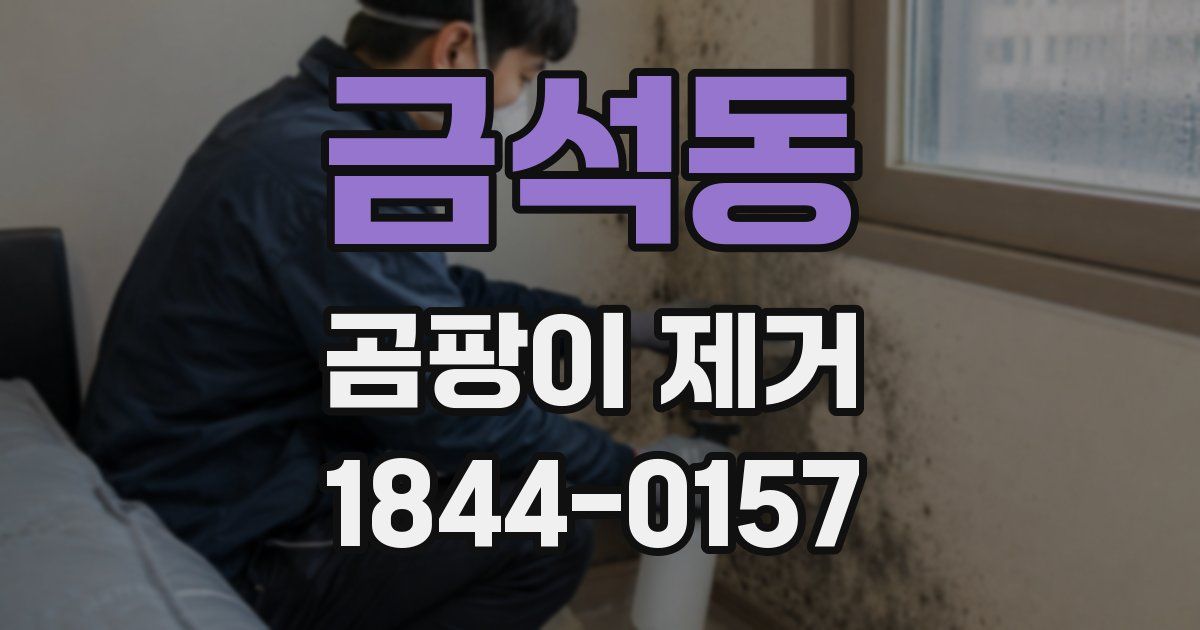 금석동 곰팡이 제거