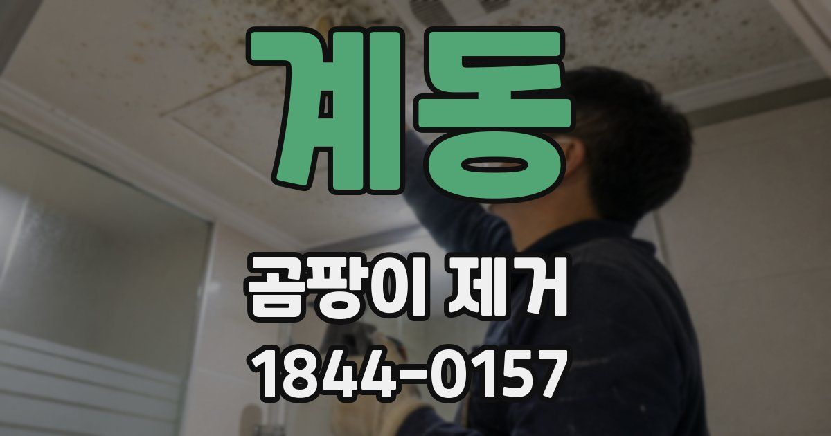 계동 곰팡이 제거