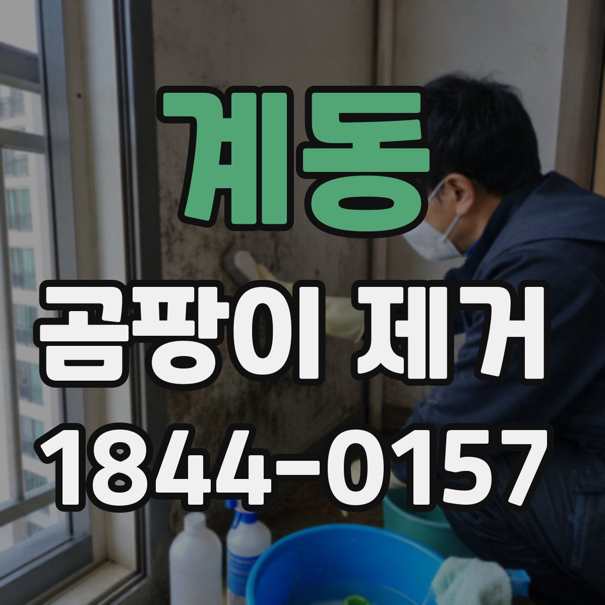 계동 곰팡이 제거