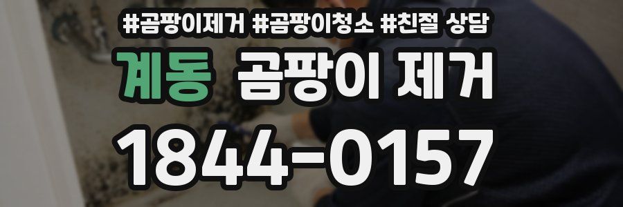 계동 곰팡이 제거