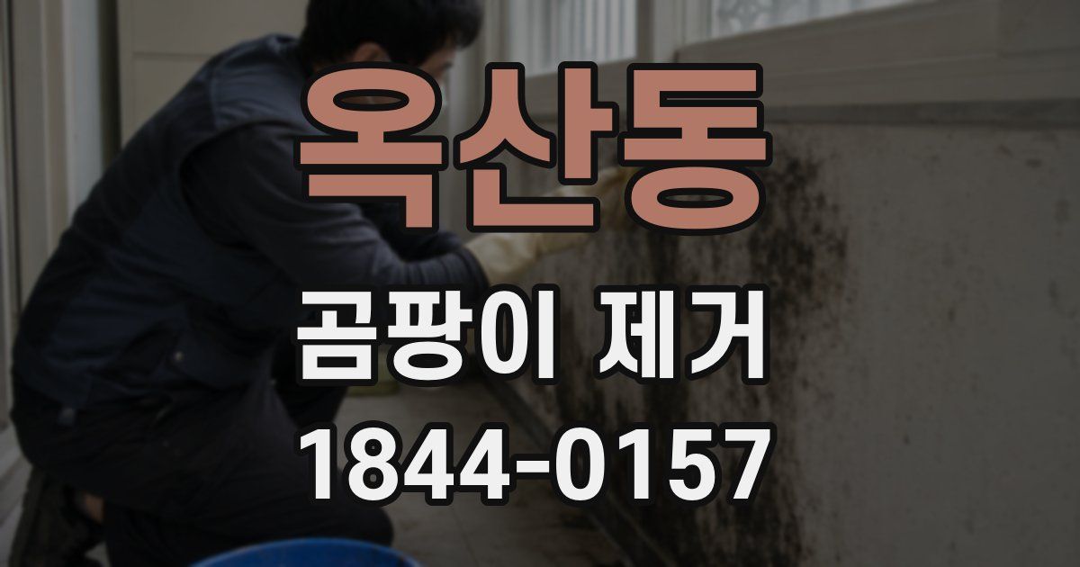 옥산동 곰팡이 제거