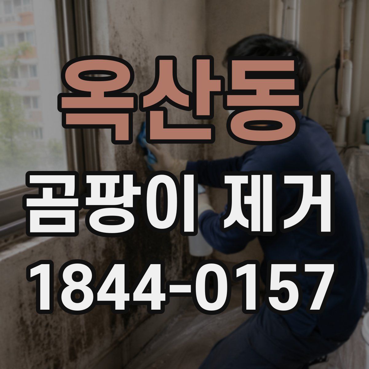 옥산동 곰팡이 제거