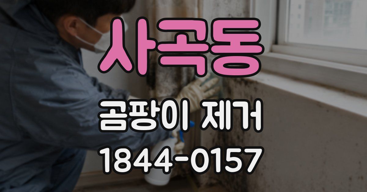 사곡동 곰팡이 제거