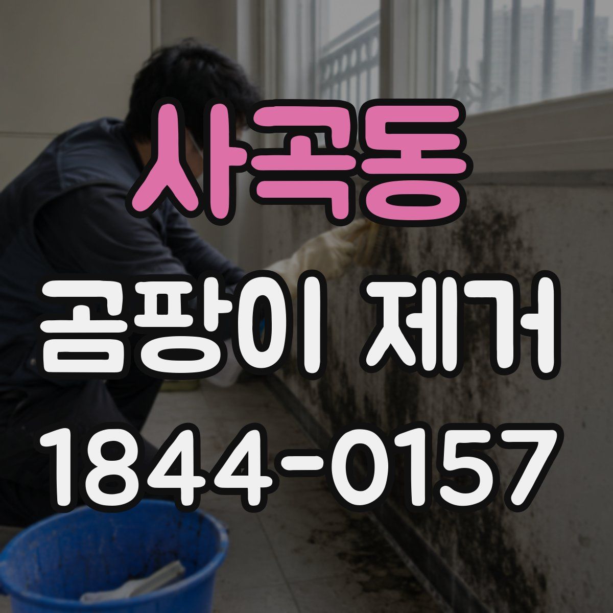 사곡동 곰팡이 제거