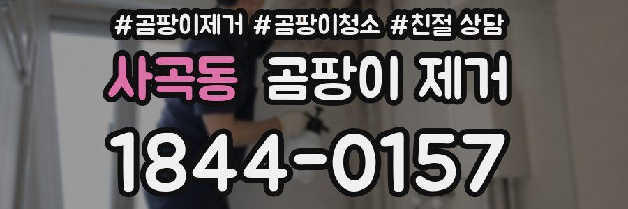 사곡동 곰팡이 제거