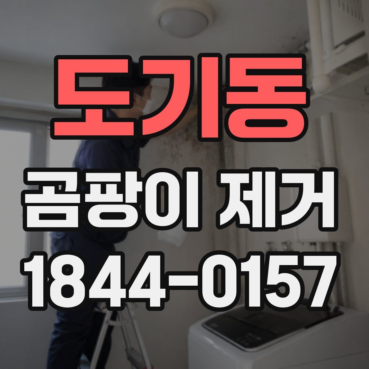도기동 곰팡이 제거