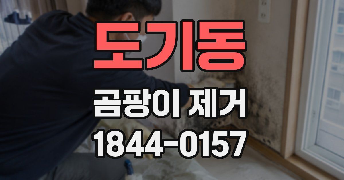 도기동 곰팡이 제거