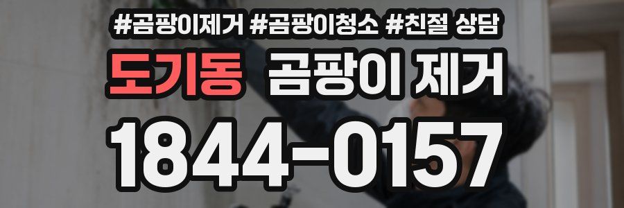 도기동 곰팡이 제거