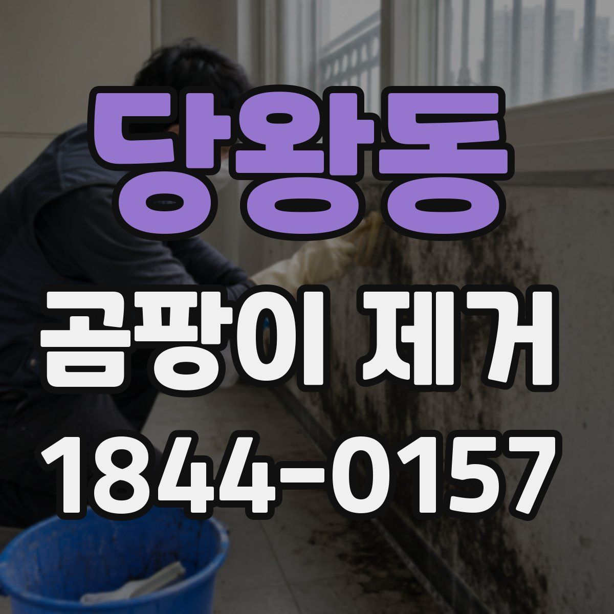 당왕동 곰팡이 제거
