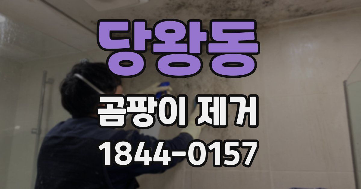 당왕동 곰팡이 제거