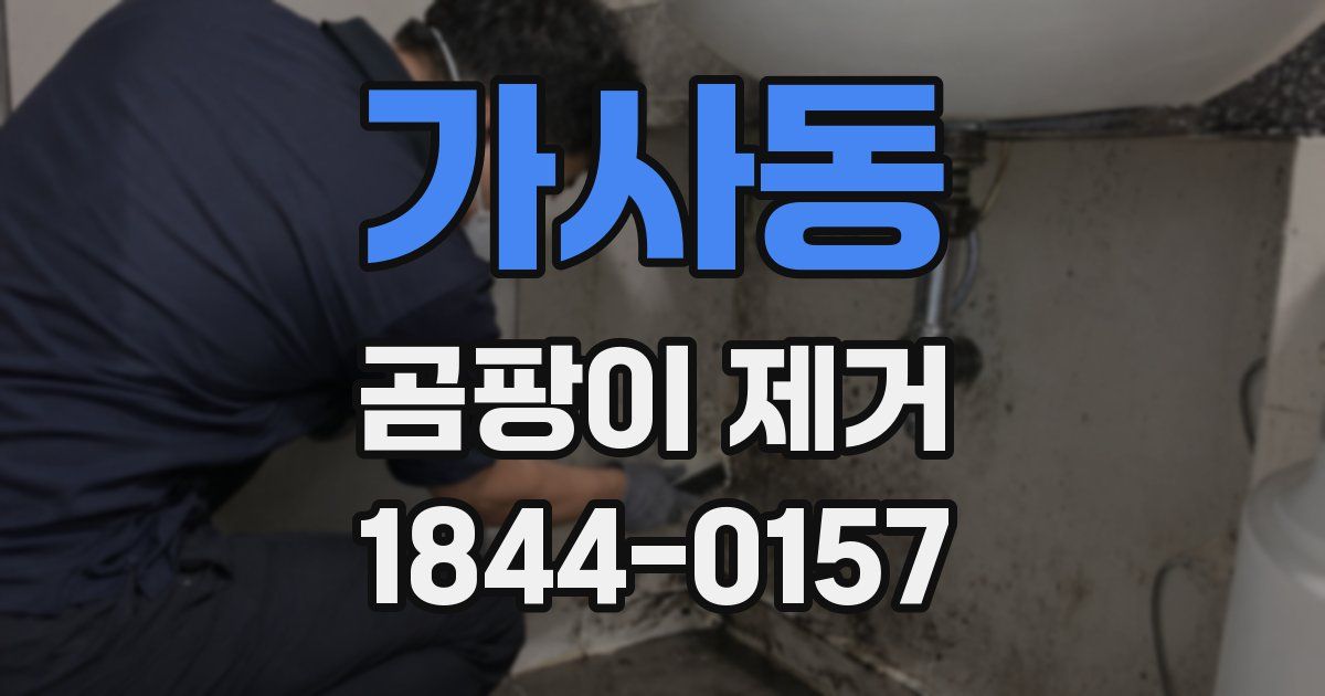 가사동 곰팡이 제거
