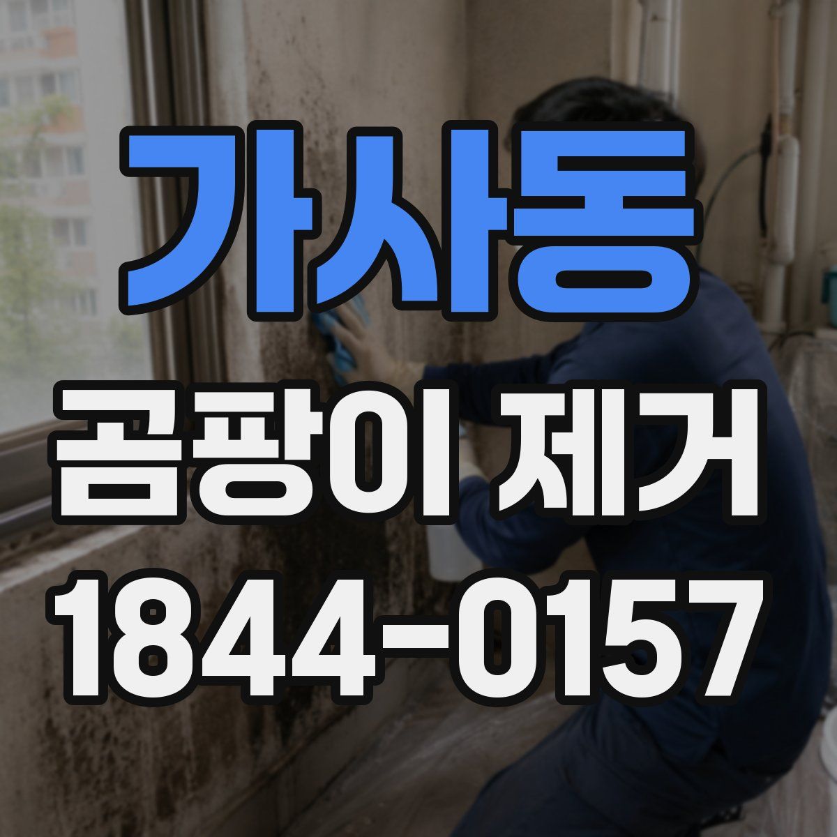 가사동 곰팡이 제거