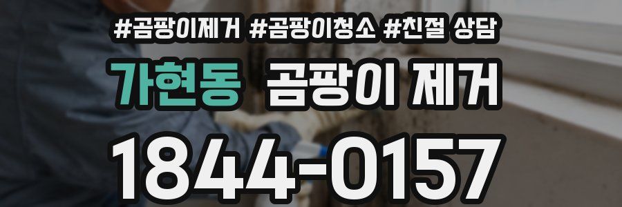 가현동 곰팡이 제거