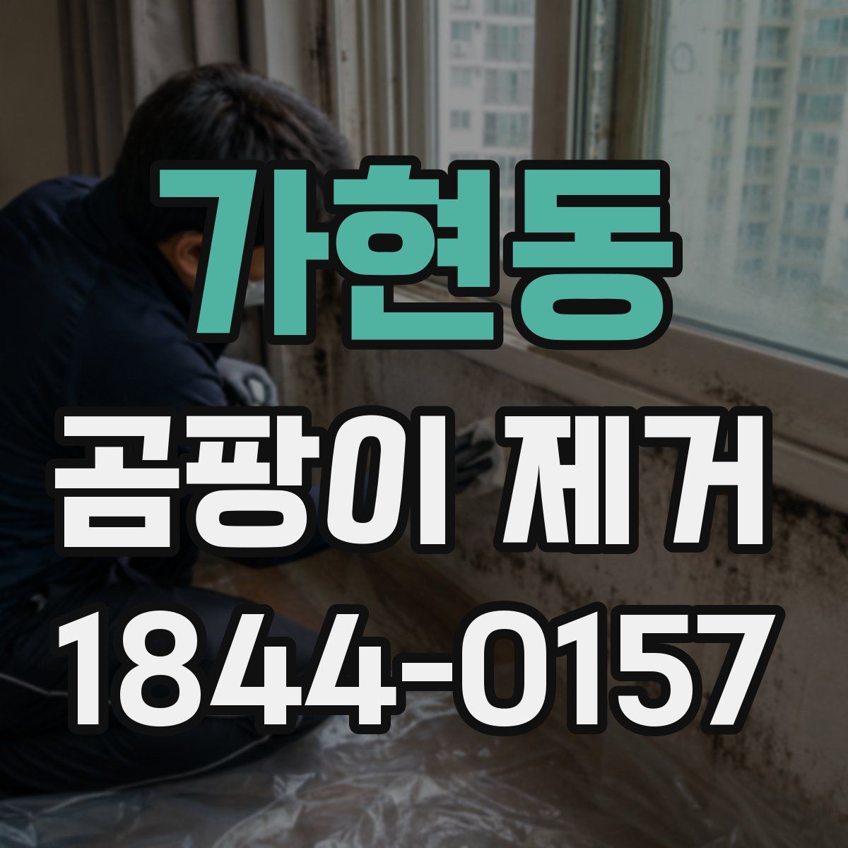 가현동 곰팡이 제거