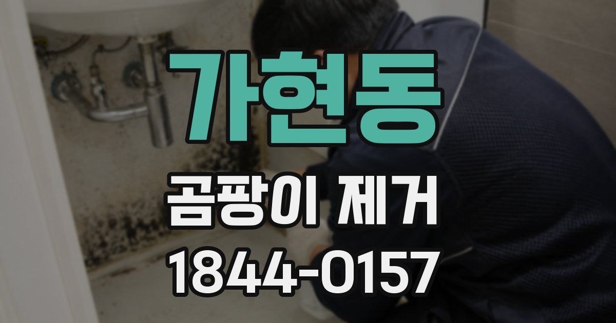 가현동 곰팡이 제거