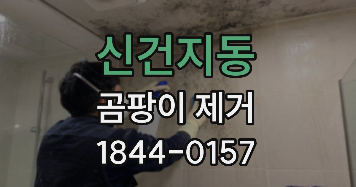 신건지동 곰팡이 제거