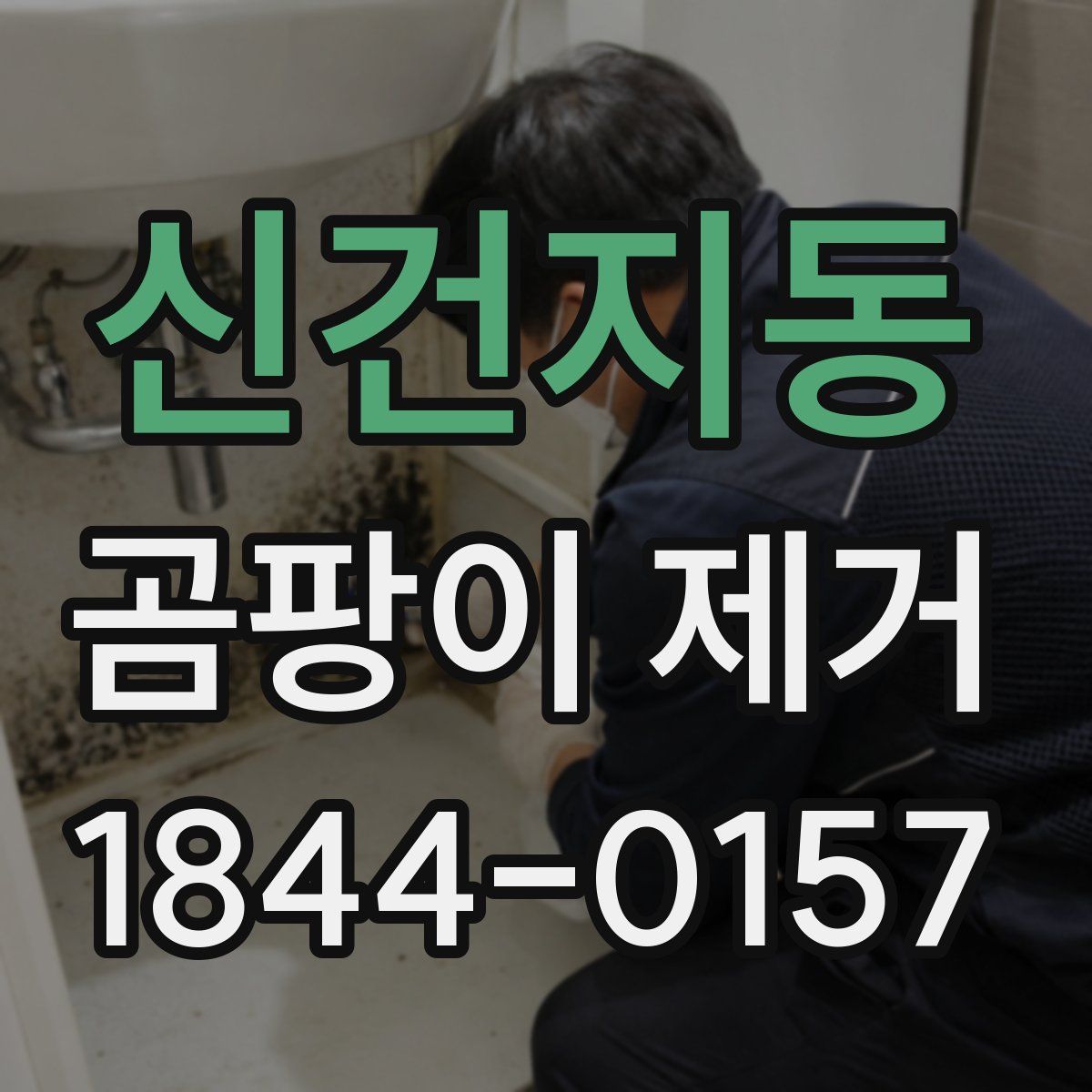 신건지동 곰팡이 제거