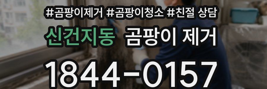 신건지동 곰팡이 제거