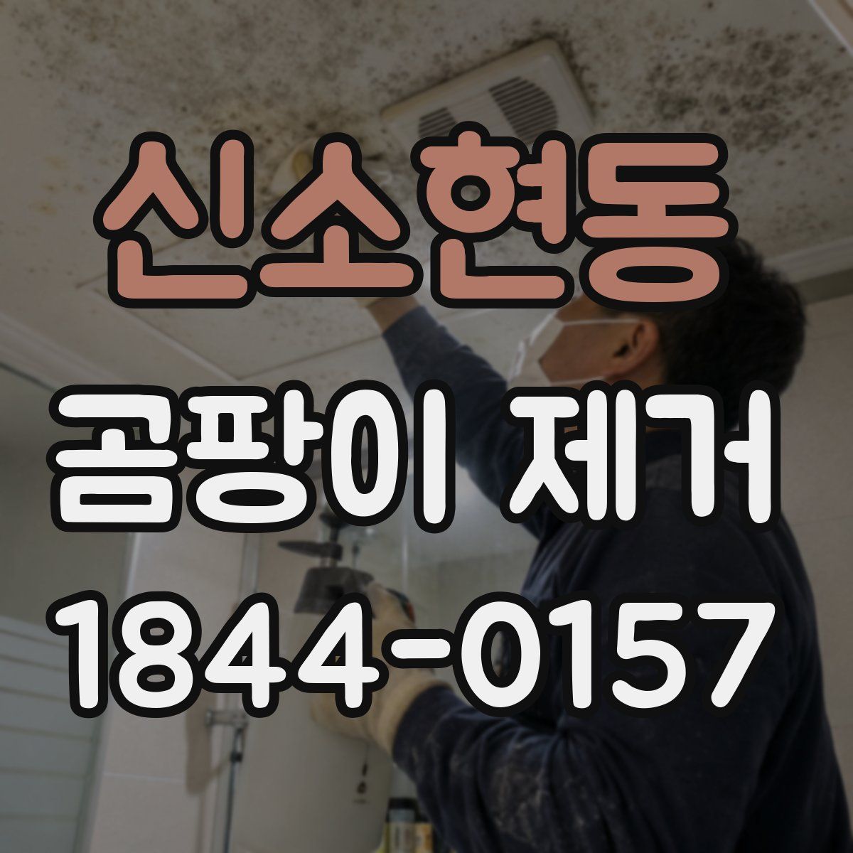 신소현동 곰팡이 제거