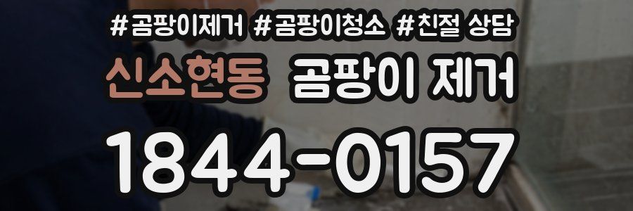 신소현동 곰팡이 제거