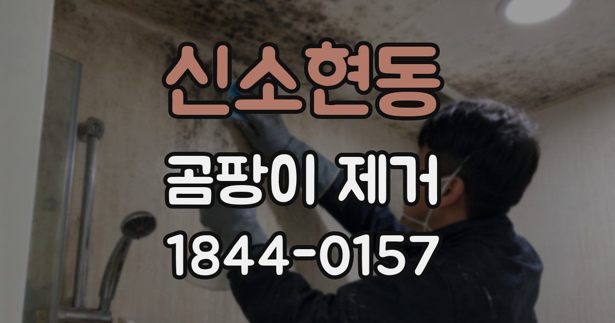 신소현동 곰팡이 제거