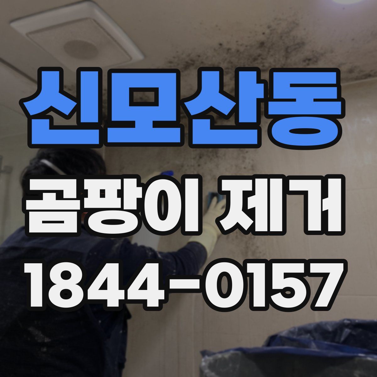 신모산동 곰팡이 제거
