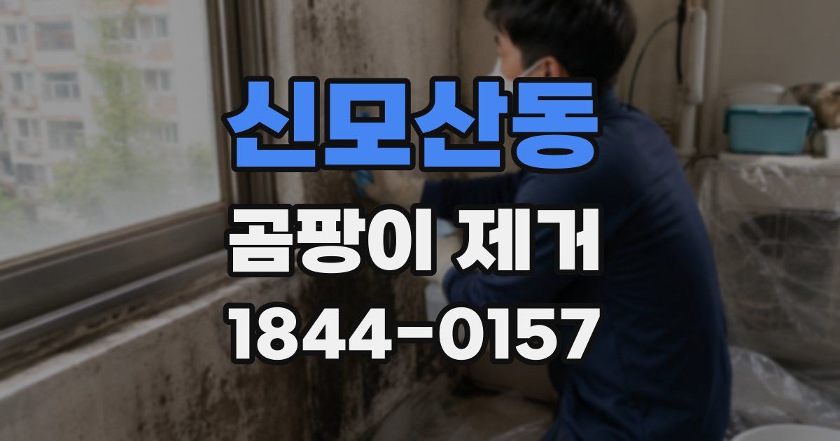 신모산동 곰팡이 제거