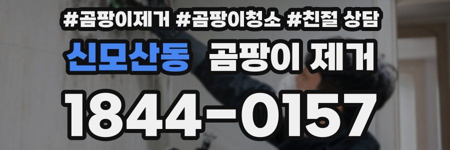 신모산동 곰팡이 제거