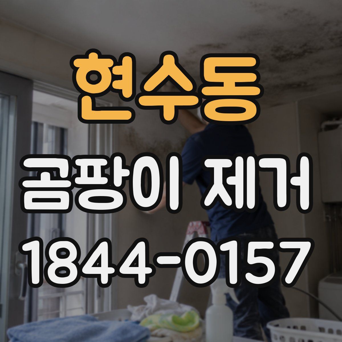 현수동 곰팡이 제거