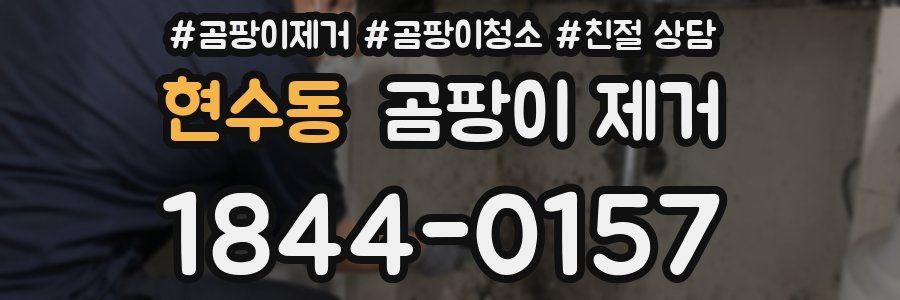 현수동 곰팡이 제거