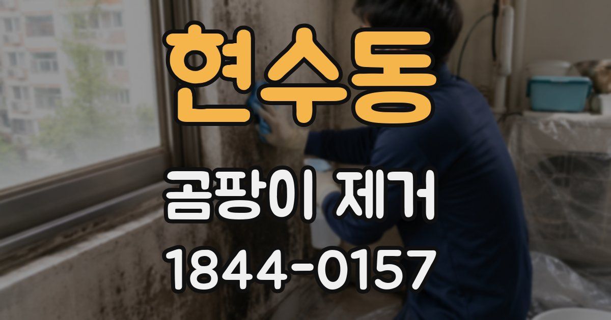 현수동 곰팡이 제거