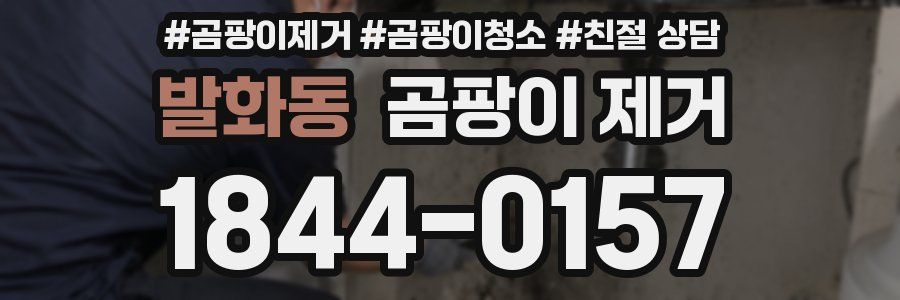 발화동 곰팡이 제거