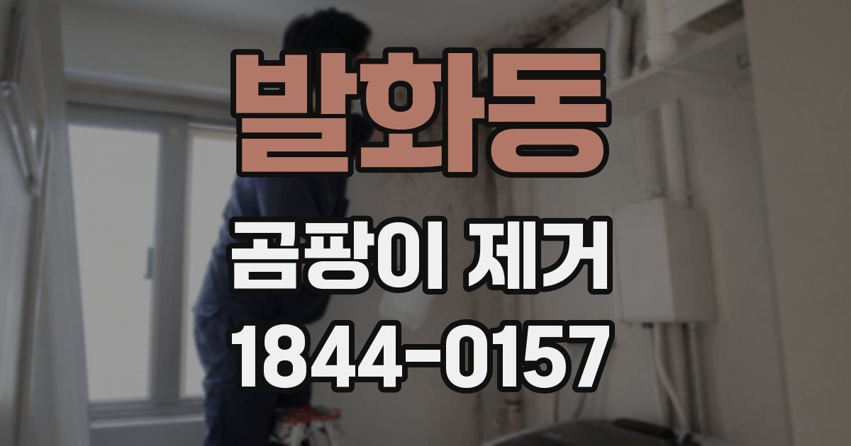 발화동 곰팡이 제거