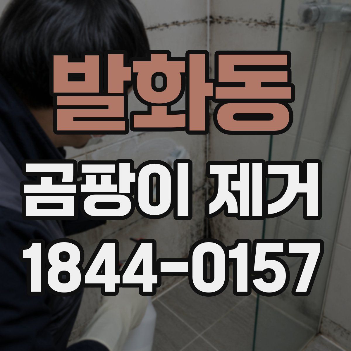 발화동 곰팡이 제거