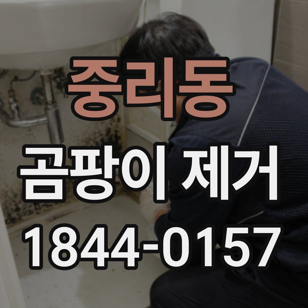 중리동 곰팡이 제거