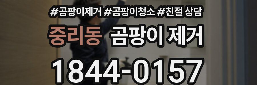 중리동 곰팡이 제거