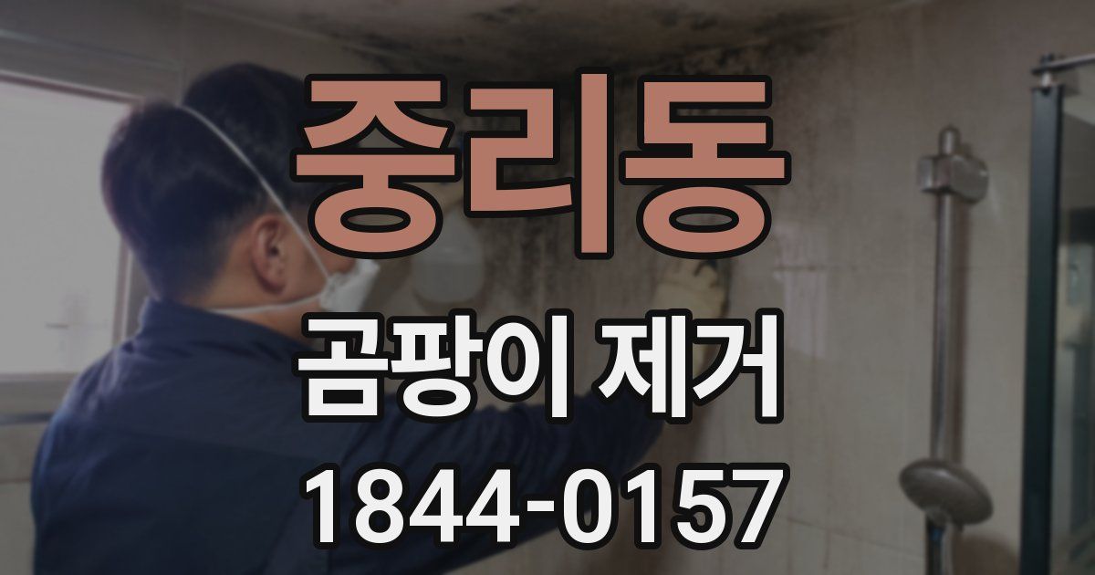 중리동 곰팡이 제거