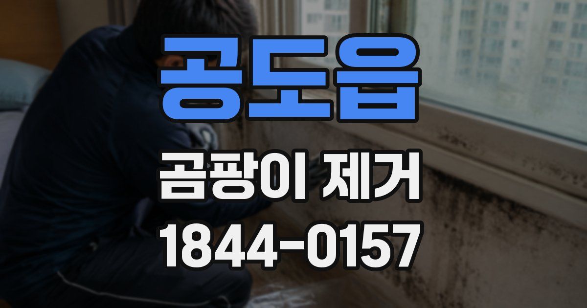 공도읍 곰팡이 제거